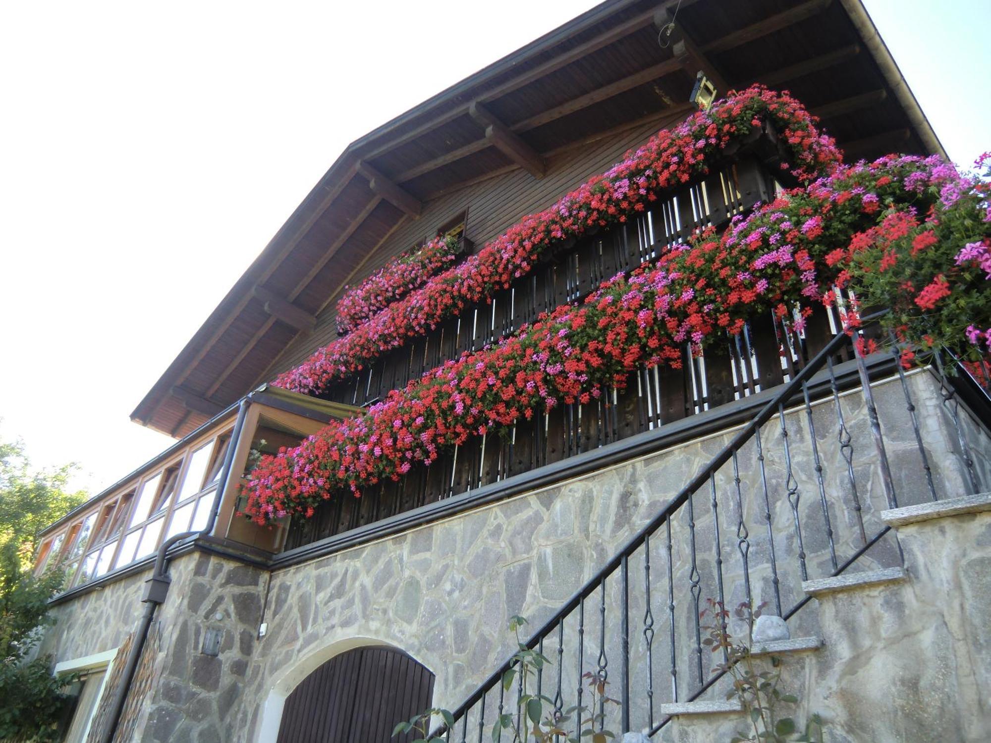 Alpenblick Bed & Breakfast วิปิเตโน ภายนอก รูปภาพ