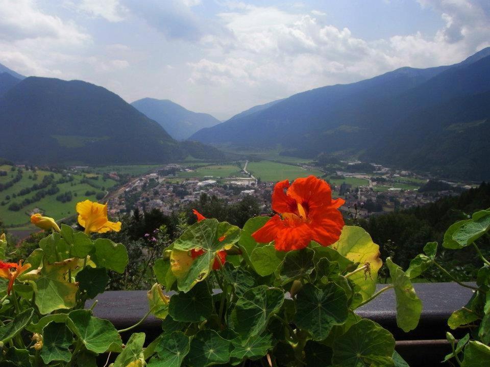 Alpenblick Bed & Breakfast วิปิเตโน ภายนอก รูปภาพ